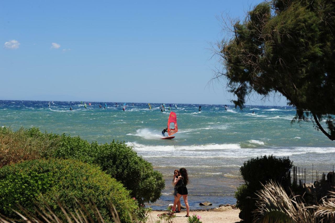Windsurfing Seaside Apartment Artemida Exteriér fotografie